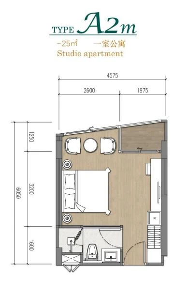 Планировка Студия 25 м²